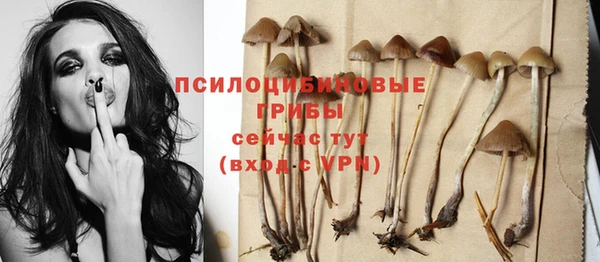 сатива Абдулино