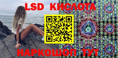 стаф Гатчина