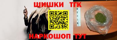 стаф Гатчина