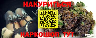 стаф Гатчина