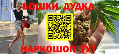 стаф Гатчина