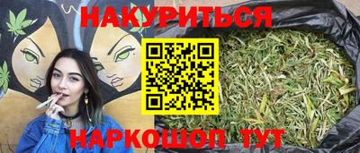 стаф Гатчина