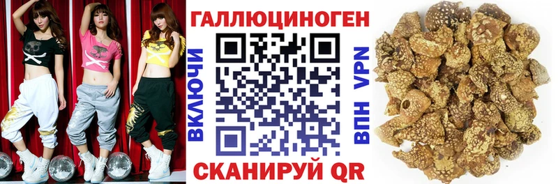 Псилоцибиновые грибы GOLDEN TEACHER Нижневартовск