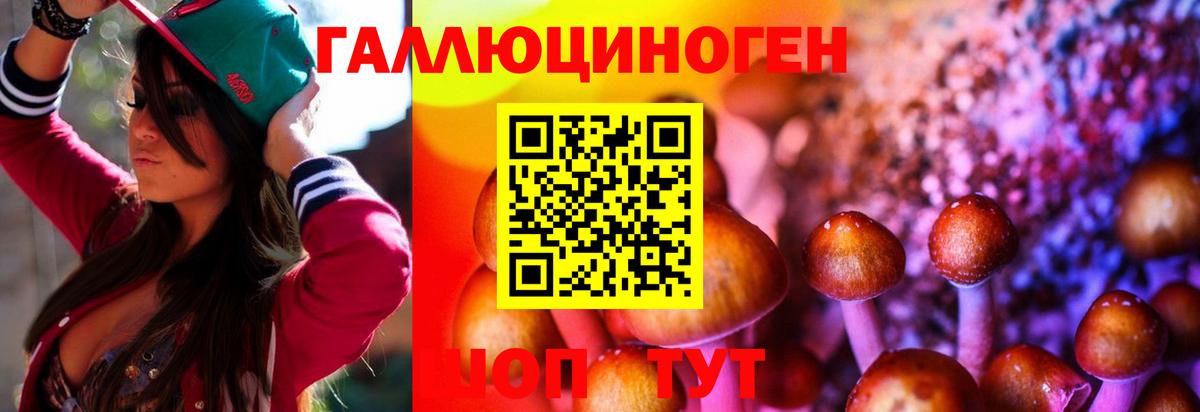 Нижневартовск  сколько стоит  Вход с VPN  Псилоцибиновые грибы GOLDEN TEACHER 